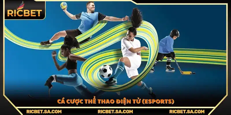 Trải nghiệm cá cược Esports hấp dẫn và kịch tính