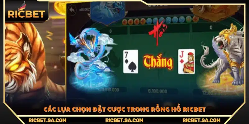 Danh sách những cửa cược phổ biến